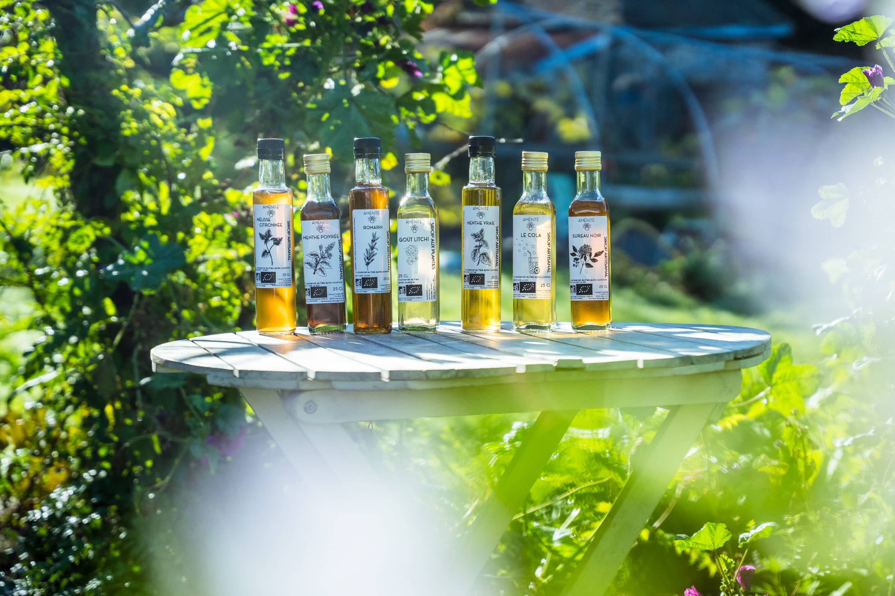 Sirop de Sureau noir – Image 7