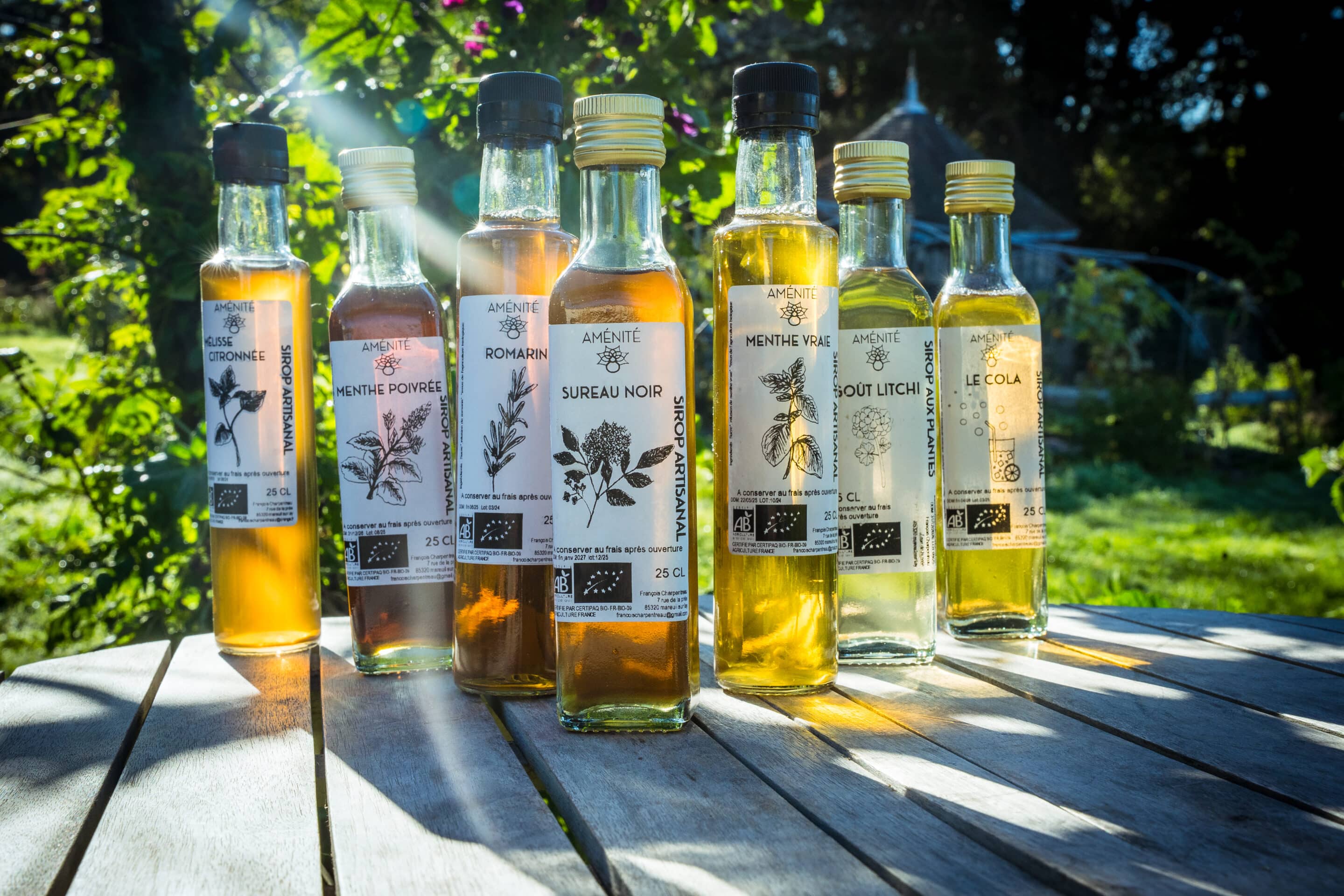 Sirop de Sureau noir – Image 2