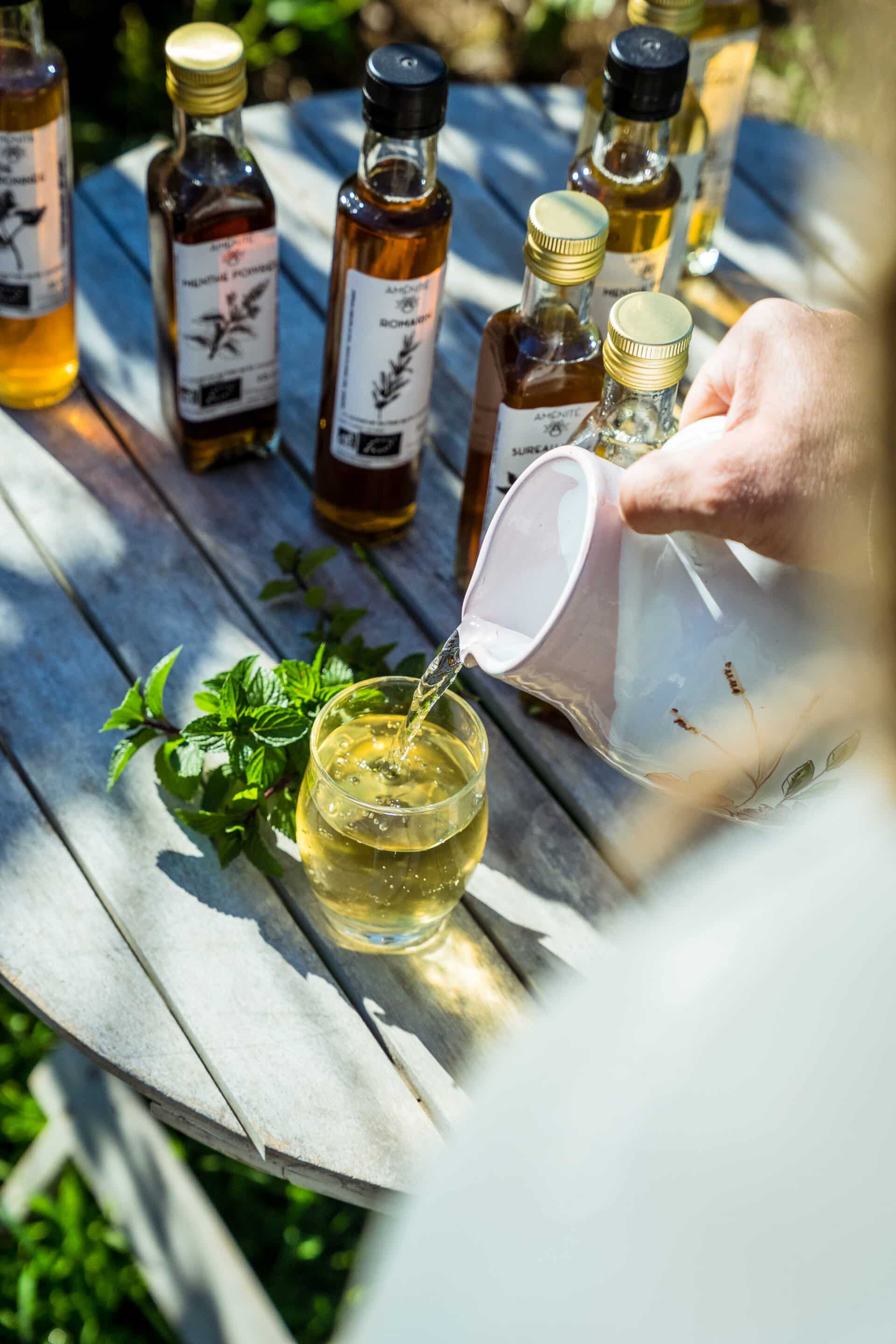 Sirop de Sureau noir – Image 3