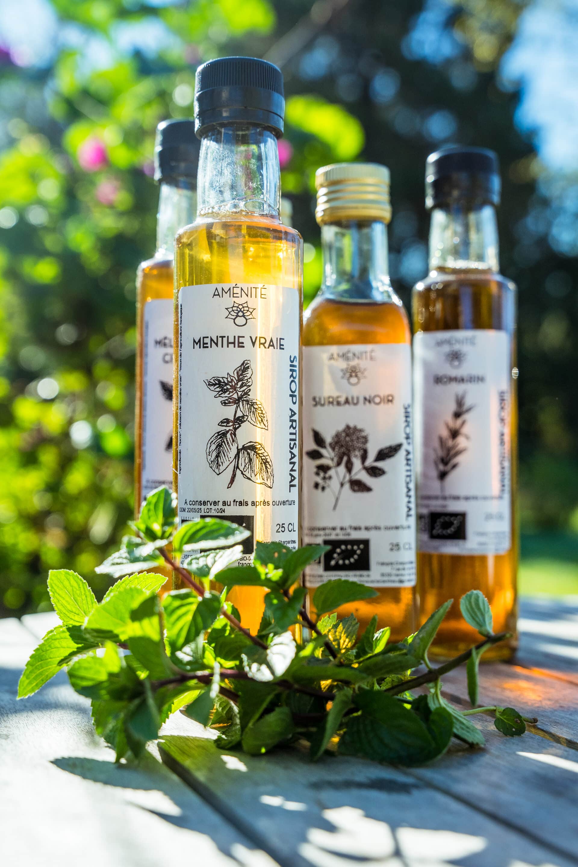 Sirop de Romarin – Image 3