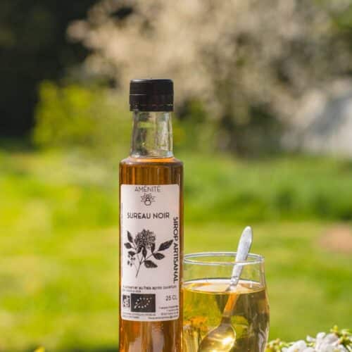 Sirop de Sureau noir