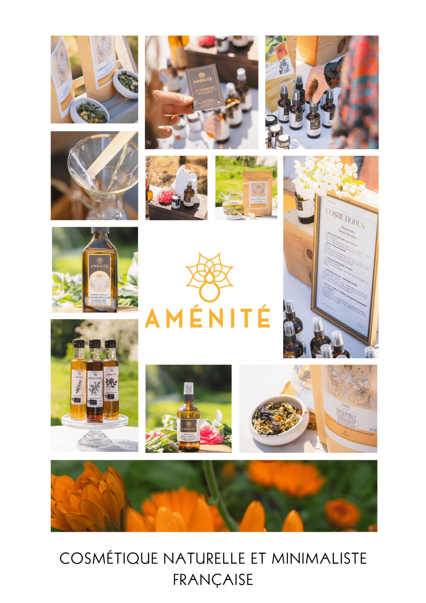 Sirop de Sureau noir – Image 4