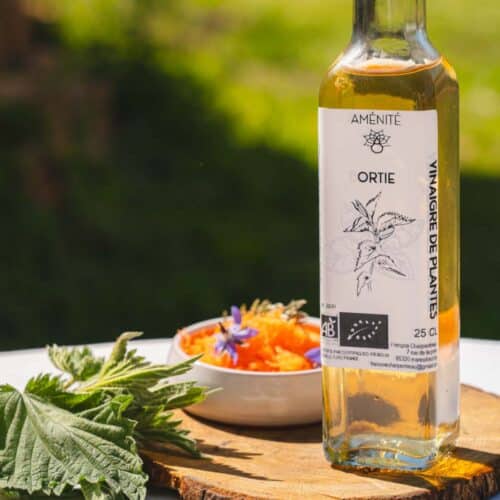 Vinaigre d'Ortie