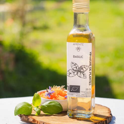 Vinaigre de Basilic Grand Vert