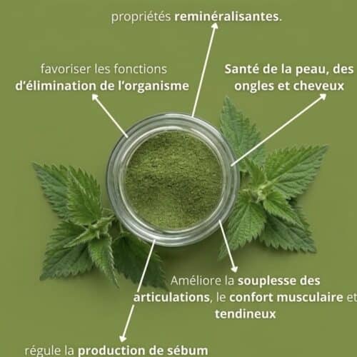 pot de poudre d'orties
